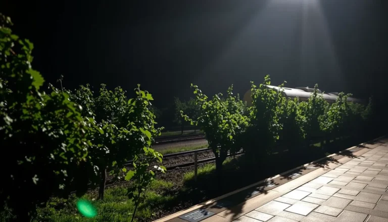 DENMARK HILL STATION'S SECRET VINEYARD: SOUTH LONDON'S HIDDEN GEM